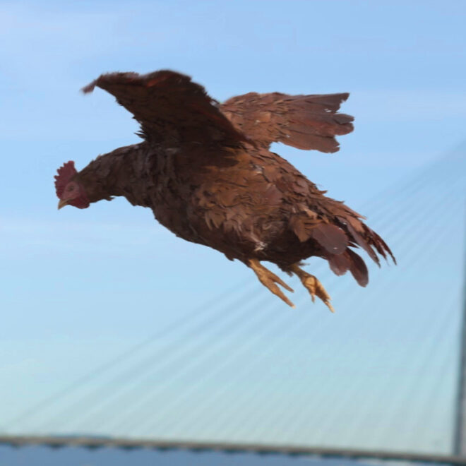 Simulate Nuggs hed 2022